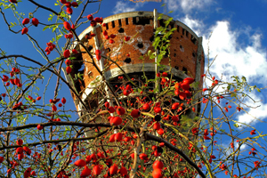 Vukovar